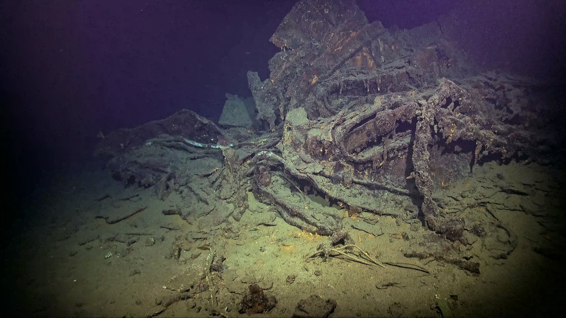 Transy grad, WWII sailor’s ship found at sea 76 years after sinking ...