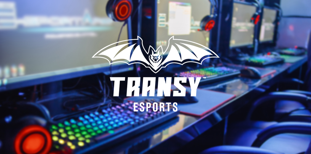 Esports Business Network - From @esportsobserver on Instagram    @teamenvy has announced the launch  of a new content creator network and ambassador program, kicking it off by  signing chess Twitch streamers