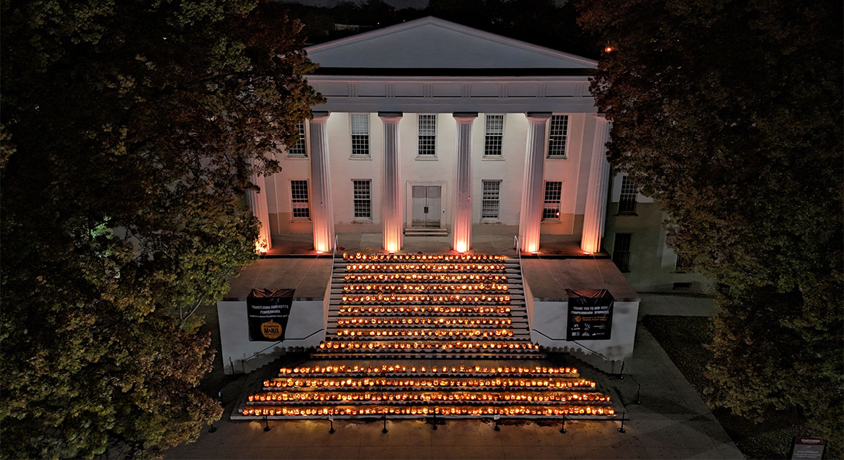 overhead shot of pumpkin display