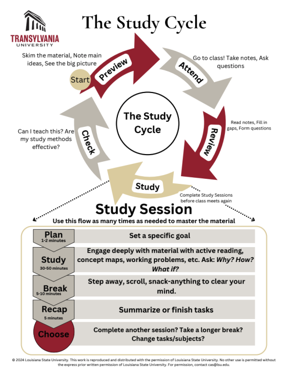 infographic of the study cycle
