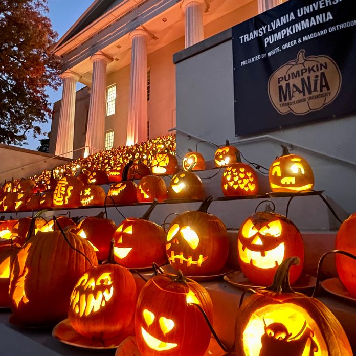 close up of lit pumpkins on old morrison steps