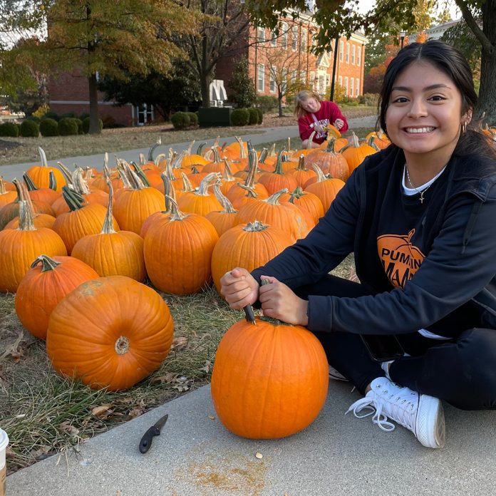 student beginning to carve a pumpkin