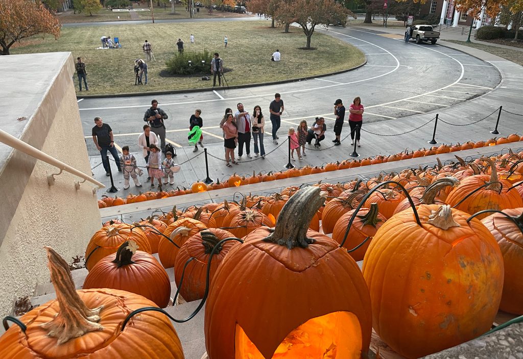 wired pumpkins begin to draw a crowd
