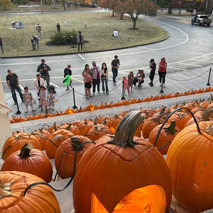 wired pumpkins begin to draw a crowd