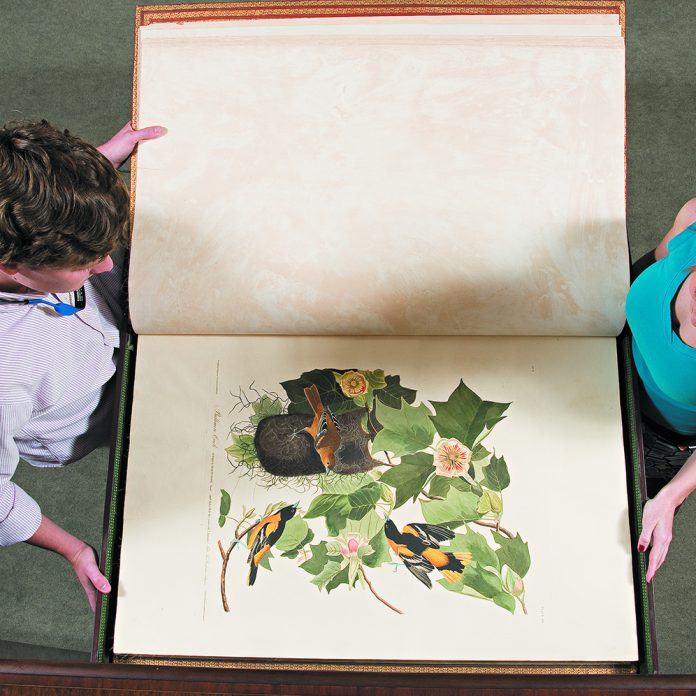 overhead view of two people looking at illustration of birds on a tree branch in an oversized book