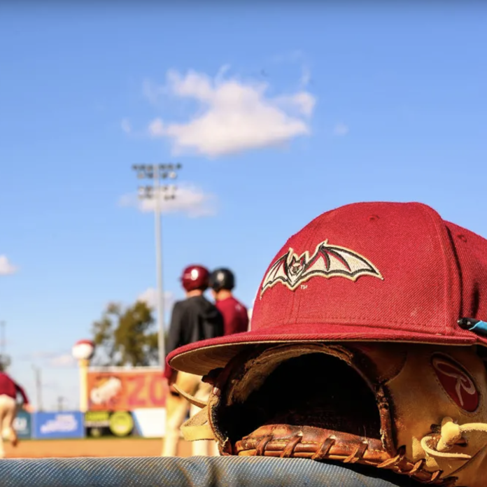 transylvania university baseball cap featuring athletics bat logo